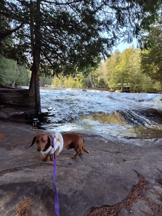 Lower Falls Hemlock Campground Picture 6