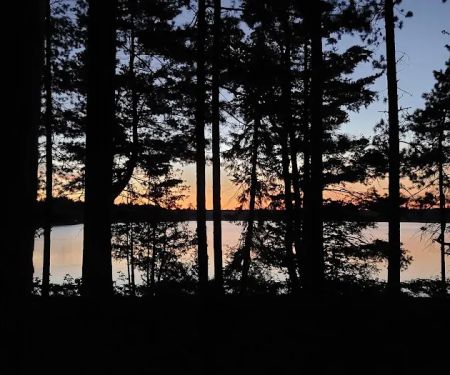 Culhane Lake State Forest Campground
