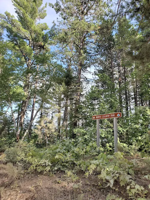 Culhane Lake State Forest Campground Picture 8