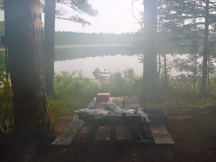 Bodi Lake State Forest Campground Picture 3