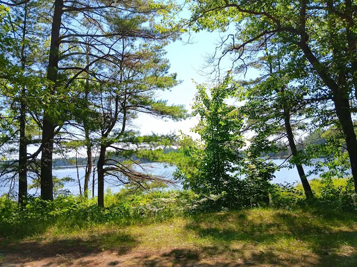 Bodi Lake State Forest Campground Picture 6