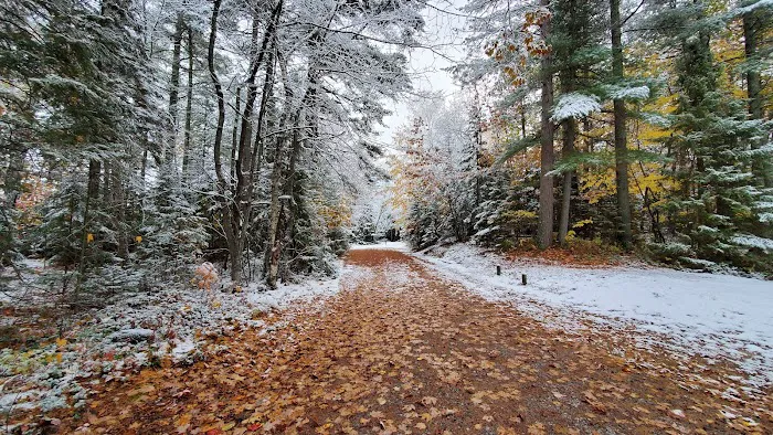 Bodi Lake State Forest Campground Picture 10