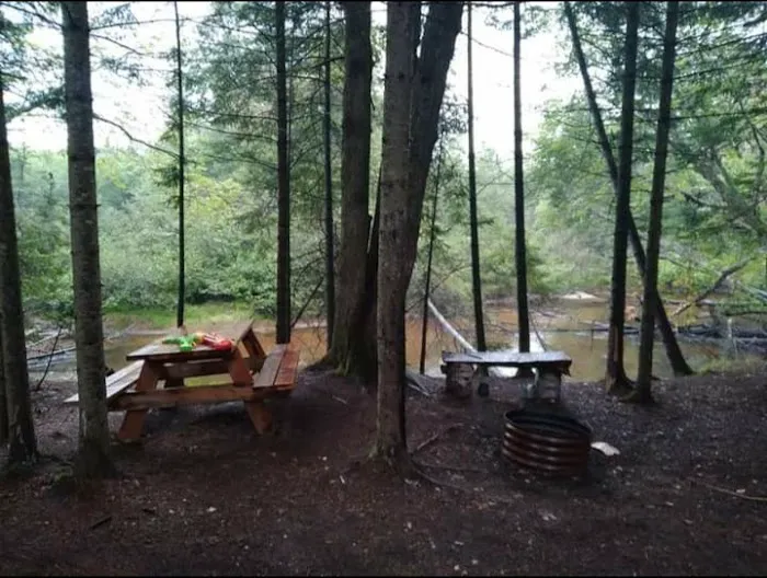 Great Lakes Yurt Camp Picture 1