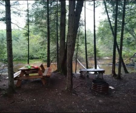 Great Lakes Yurt Camp