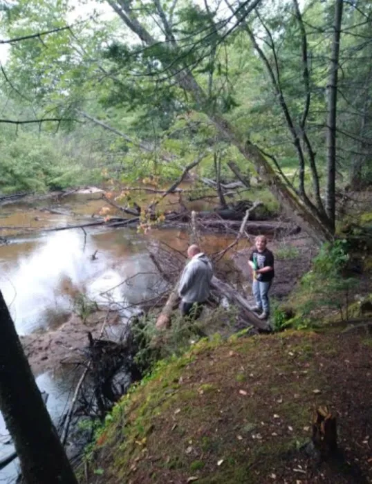 Great Lakes Yurt Camp Picture 6