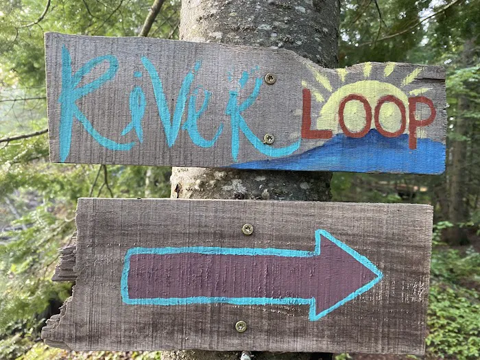 Great Lakes Yurt Camp Picture 5