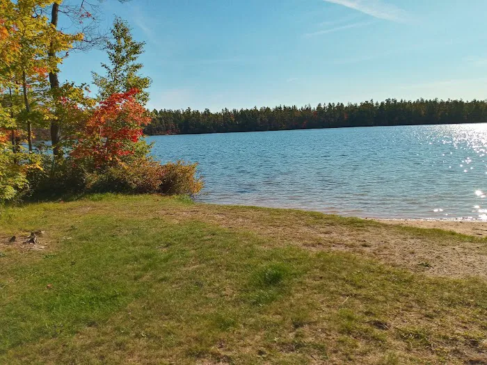 Pretty Lake State Forest Campground Picture 2