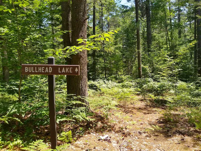 Pretty Lake State Forest Campground Picture 5