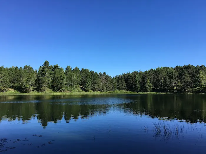 Pretty Lake State Forest Campground Picture 6