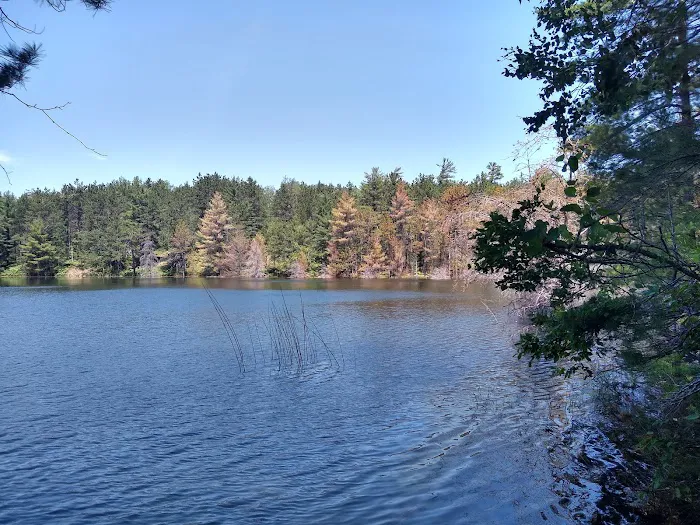 Holland Lake State Forest Campground Picture 6