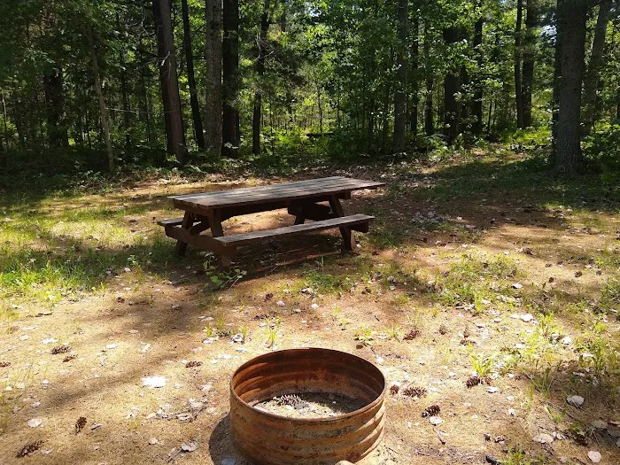 Holland Lake State Forest Campground Picture 8