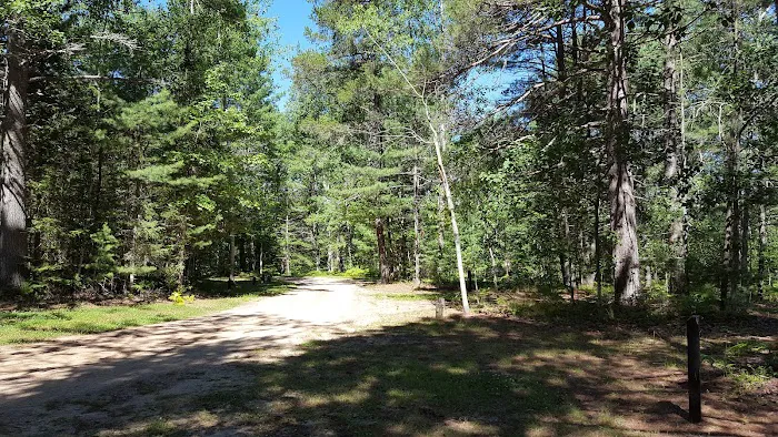 Holland Lake State Forest Campground Picture 7