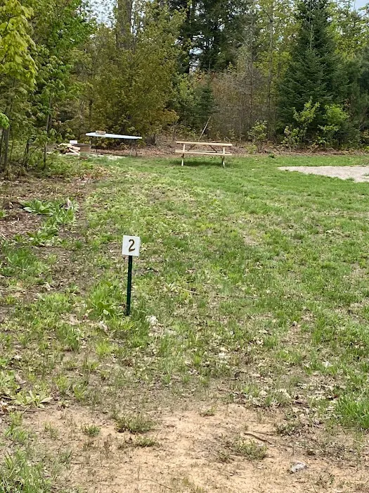 Andy’s Wolf Traxx Picture 3