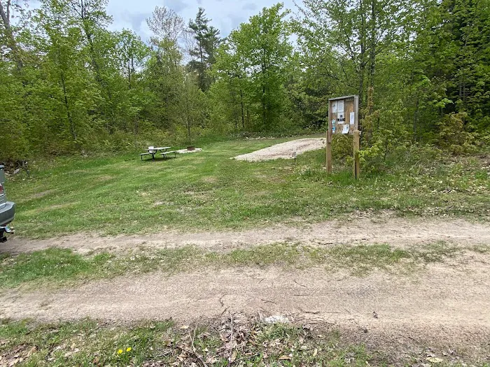 Andy’s Wolf Traxx Picture 2