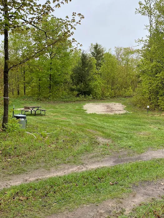 Andy’s Wolf Traxx Picture 5