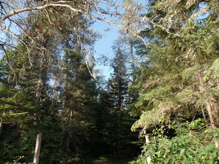 East Branch of the Fox River State Forest Campground Picture 10