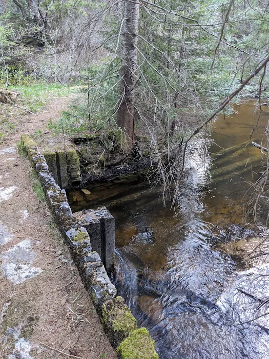 East Branch of the Fox River State Forest Campground Picture 4