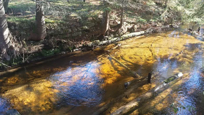 East Branch of the Fox River State Forest Campground Picture 6