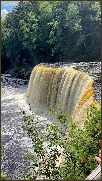 High Swamp Camp Picture 2