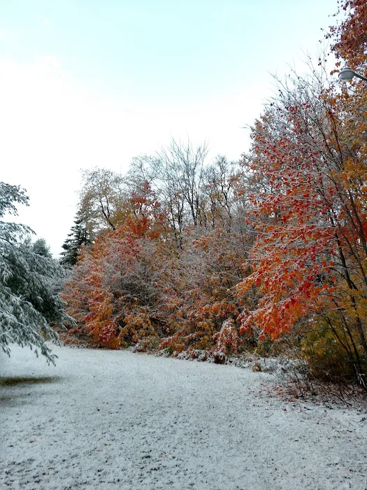 High Swamp Camp Picture 8