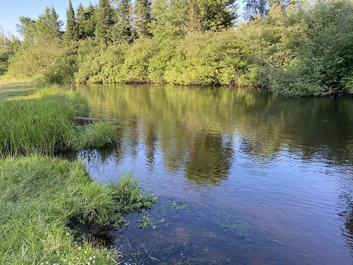Seney Township Campground Picture 1