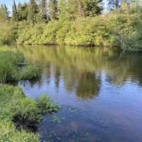 Seney Township Campground ico