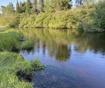 Seney Township Campground