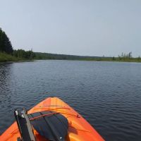 Blind Sucker #2 State Forest Campground ico