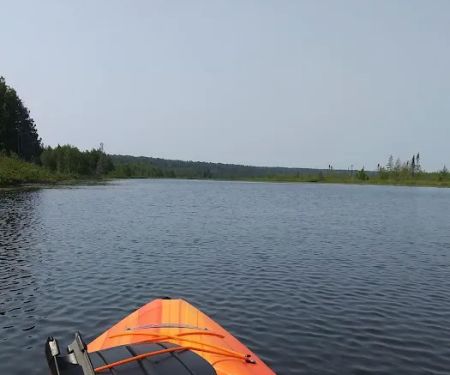 Blind Sucker #2 State Forest Campground