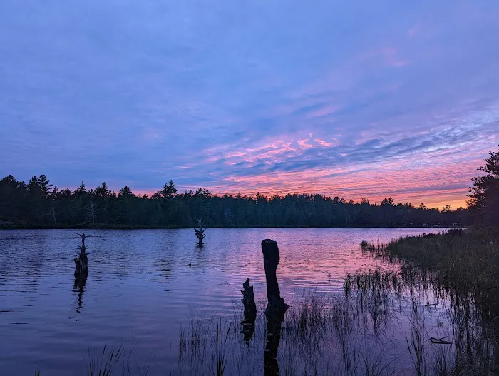 Blind Sucker #2 State Forest Campground Picture 4