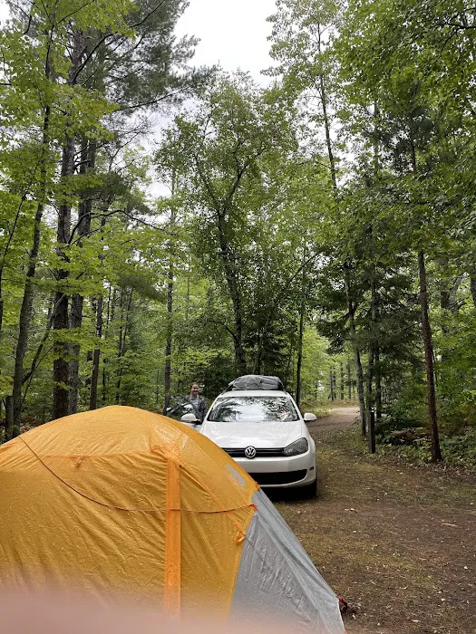 Blind Sucker #2 State Forest Campground Picture 7