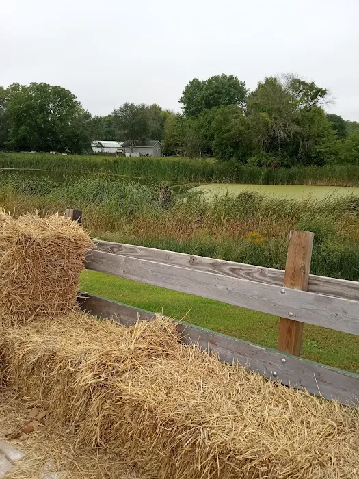Buffalo Shores Park, IA Picture 3