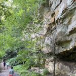 Wildcat Den Campground