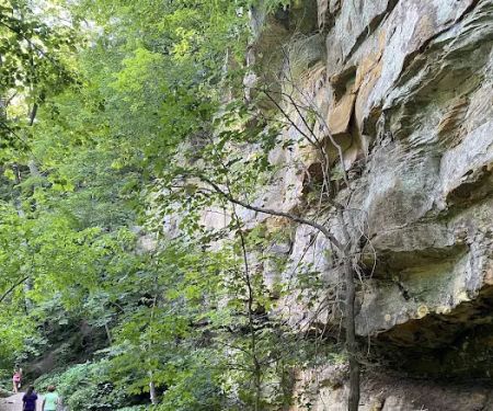 Wildcat Den Campground