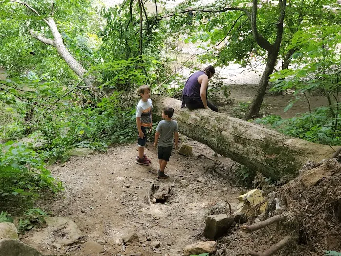 Wildcat Den Campground Picture 8