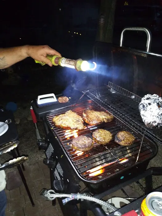 Badger Camp & Resort Picture 2