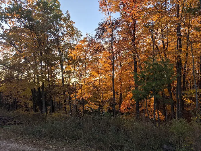 Camp Long Lake Scout Camp - Potawatomi Area Council Picture 6