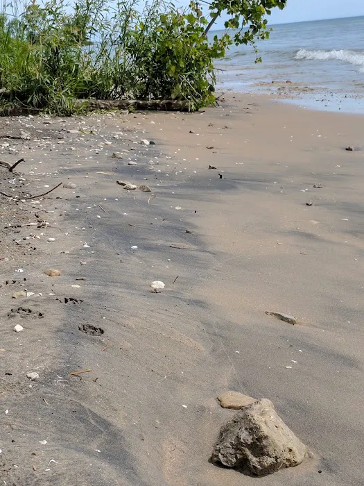 Harrington Beach Campground Picture 8