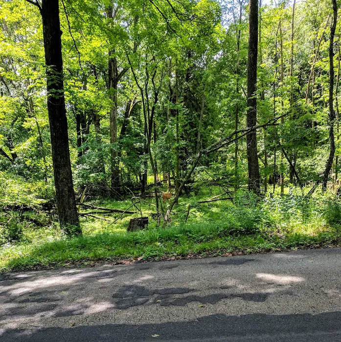 Harrington Beach Campground Picture 10