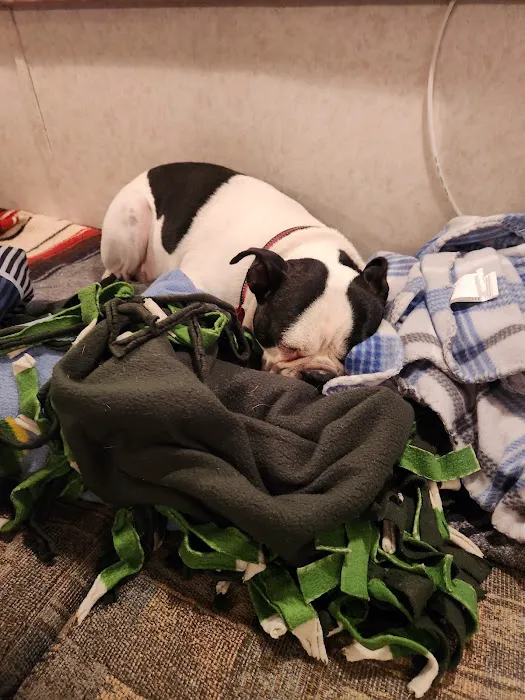 Avoca Lakeside Park & Campground Picture 5