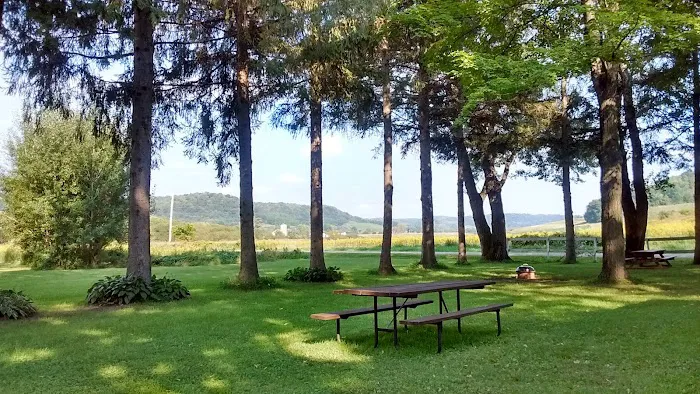 Alana Springs Campground Picture 5