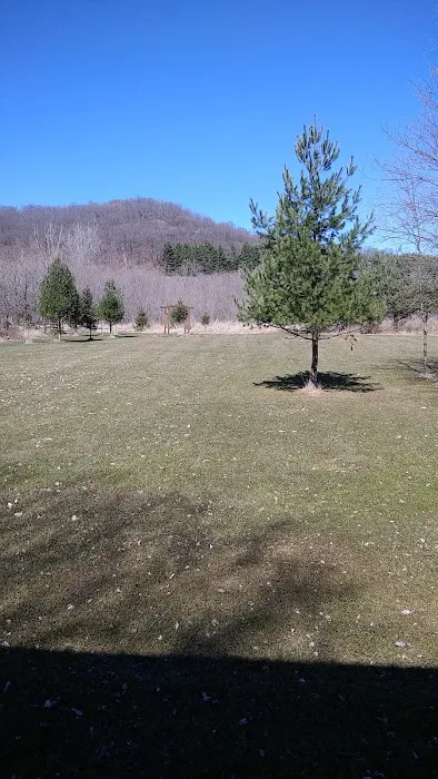 Alana Springs Campground Picture 10