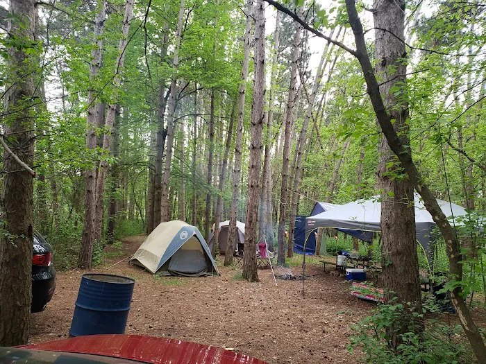 Red Oak Campground Picture 2