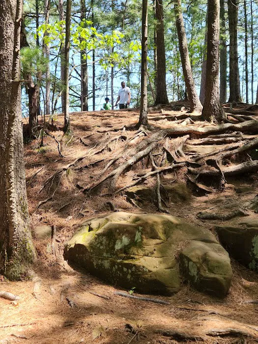 Bluewater Bay Campground Picture 8