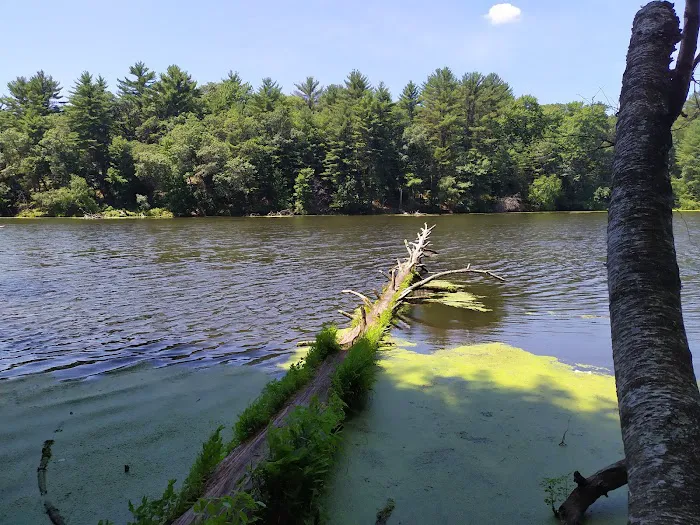 Sandstone Ridge Campground Picture 7