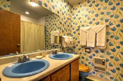 Yogi Bear's Jellystone Park of Wisconsin Dells Picture 2