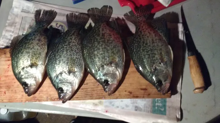 Schleicher's Landing Picture 8