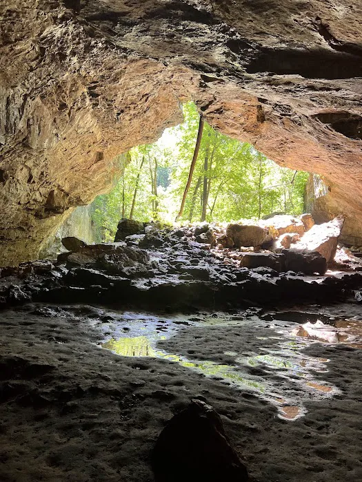 Maquoketa Caves State Park Campground Picture 7