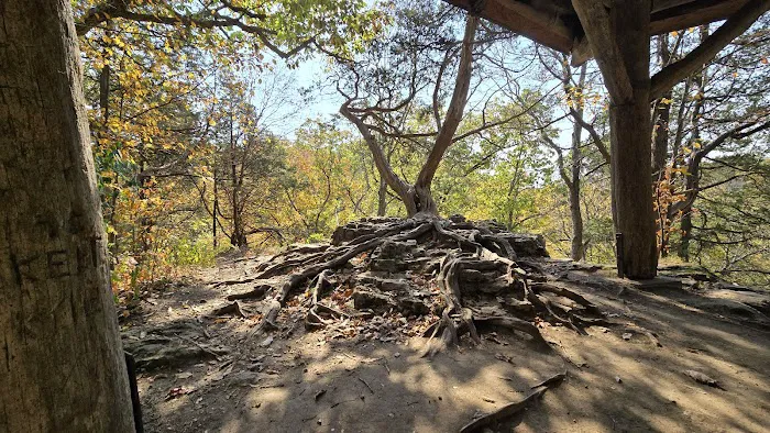 Maquoketa Caves State Park Campground Picture 8