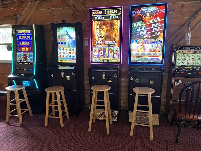 Lakeview Campground & Bar Picture 3